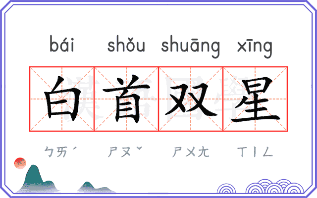 白首双星