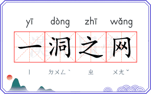 一洞之网