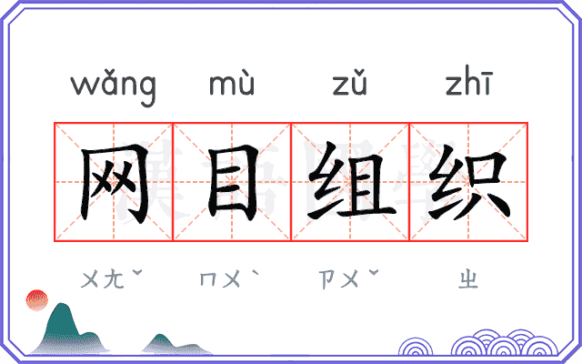 网目组织