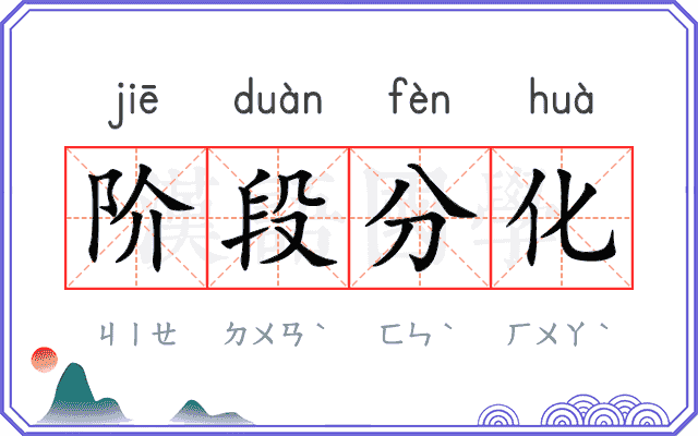 阶段分化