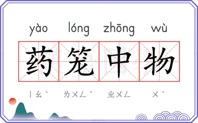 药笼中物