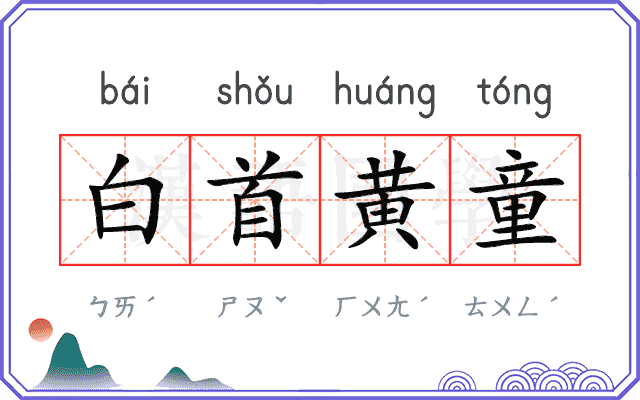 白首黄童