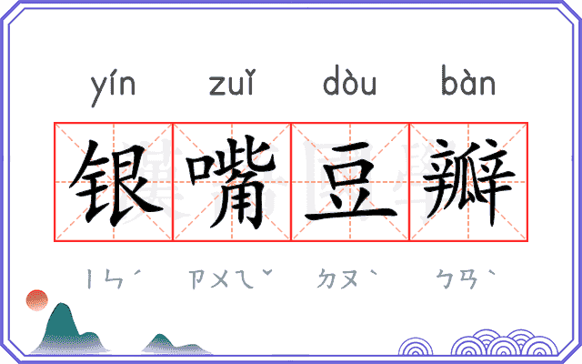 银嘴豆瓣