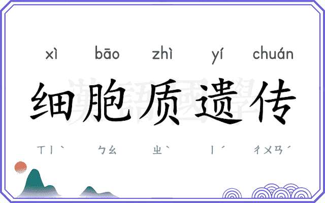 细胞质遗传