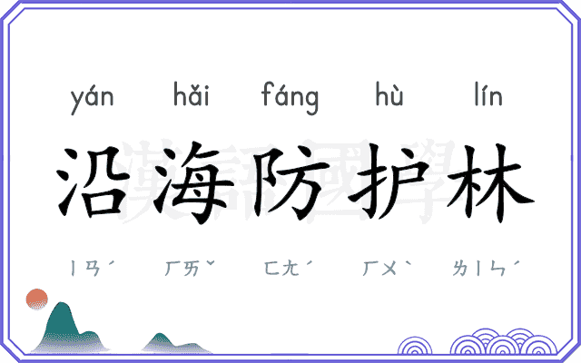 沿海防护林