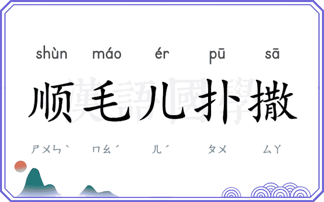 顺毛儿扑撒