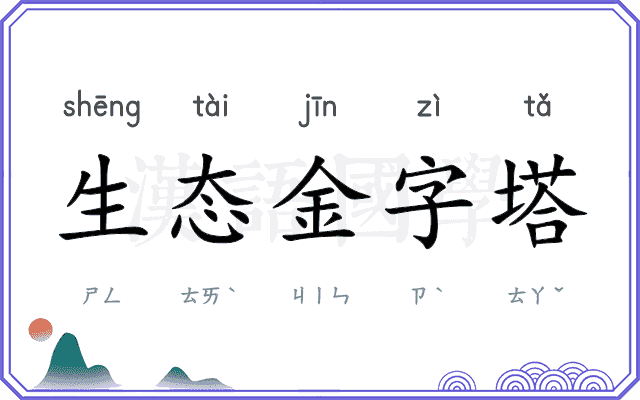 生态金字塔