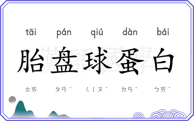 胎盘球蛋白