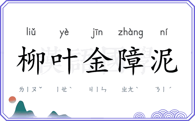 柳叶金障泥