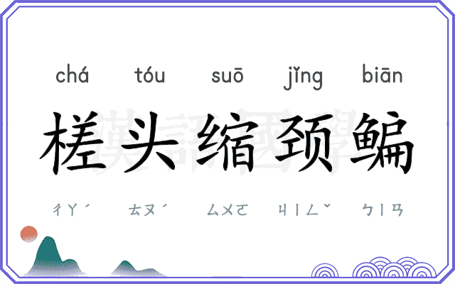 槎头缩颈鳊