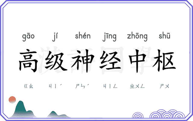 高级神经中枢