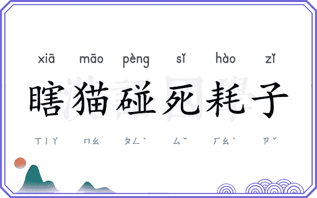 瞎猫碰死耗子