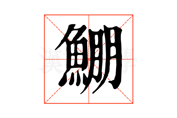 𩸀