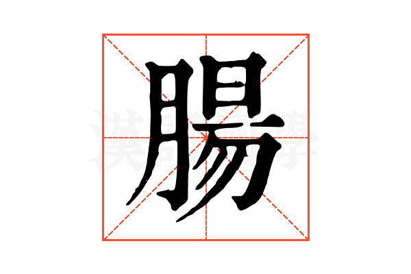 腸