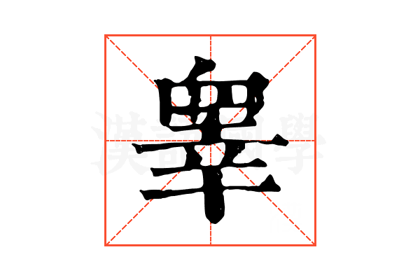 睾