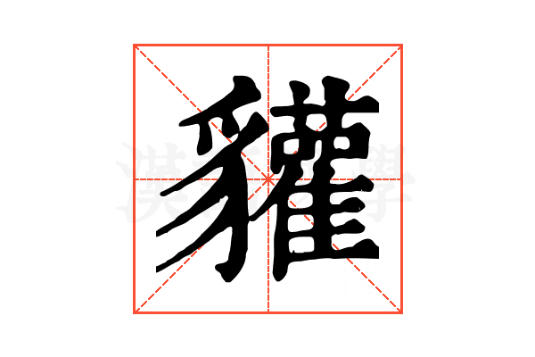 貛