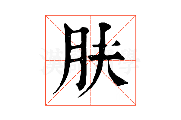 肤