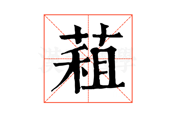 蒩