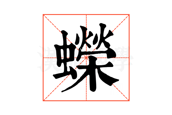 蠑