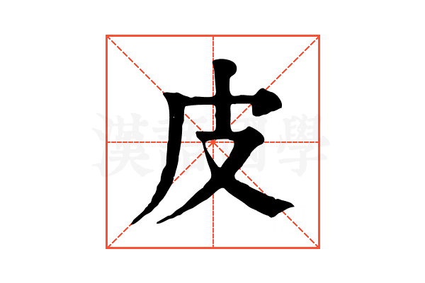 皮