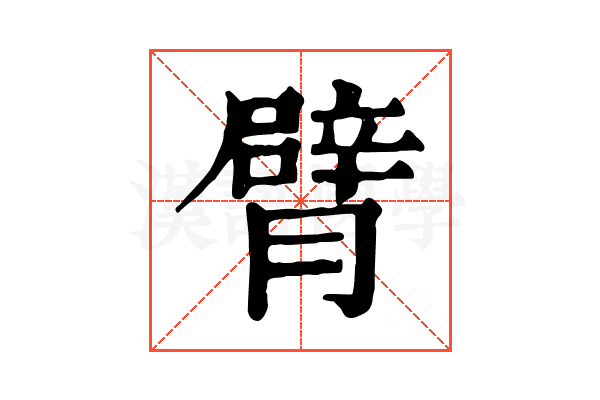 臂