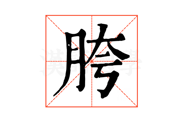 胯