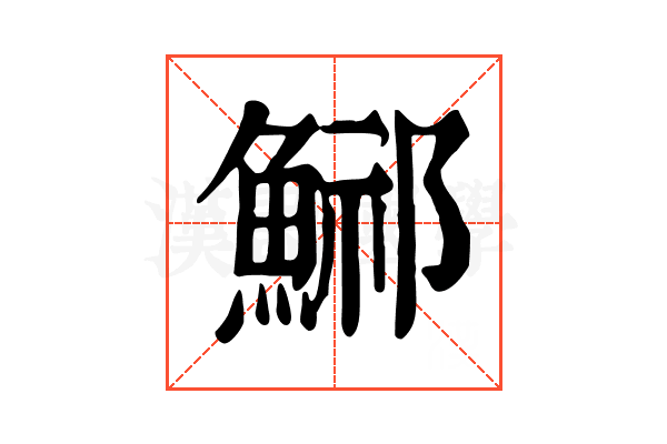 𩷾
