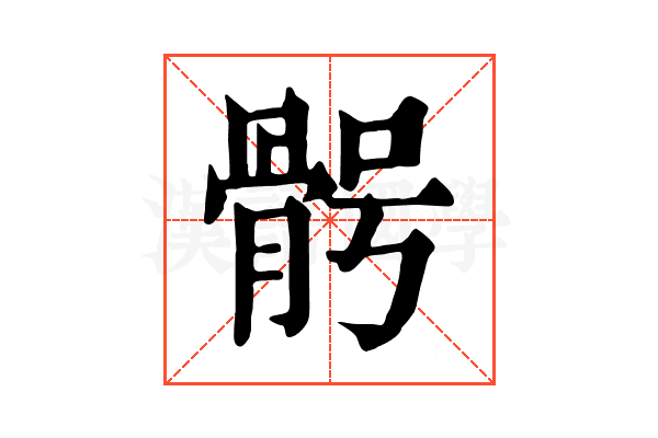 𩨴