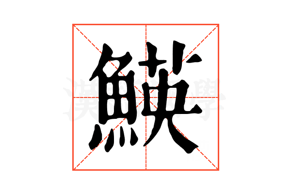 𩹅