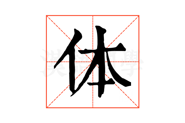 体