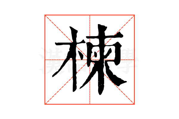 楝
