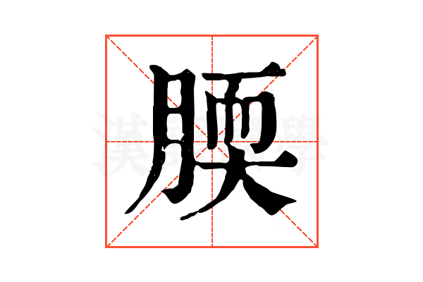 腝