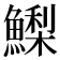 𩻌