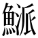 𩹘