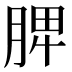脾
