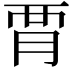 𧟩