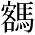 𩤩