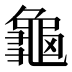 龜