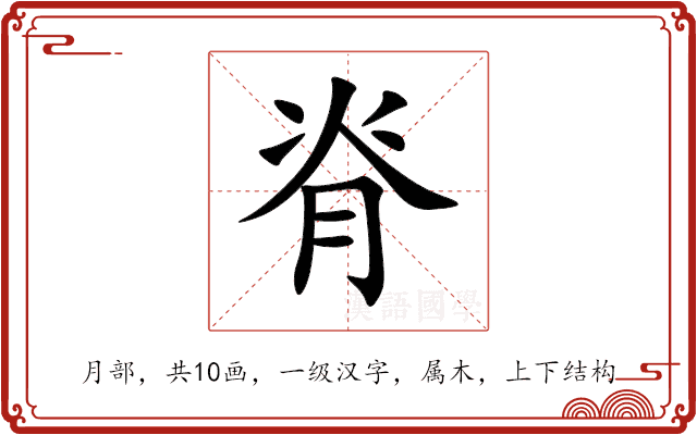 脊