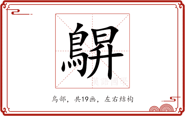 鵿