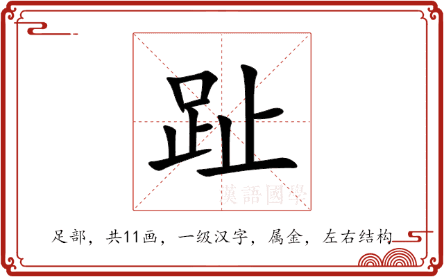 趾