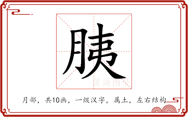 胰